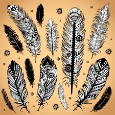 Fashion ethnic feather illustration N2