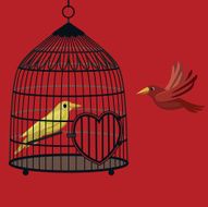 love bird cage
