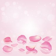 Falling rose peta N9