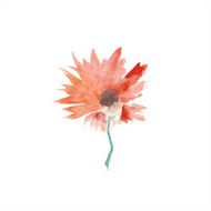 Abstract flower N27