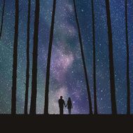 Lovers in forest N3