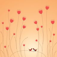 birds love N6