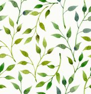 Leaves N77