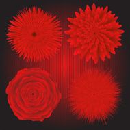 Red Flowers N17