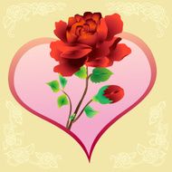 Red rose with heart shape backdrop