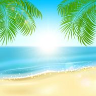 Palms on the beach