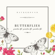 Card with butterflies and flowers N9