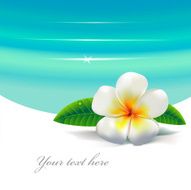 tropical flower