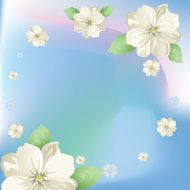 spring flowers N30