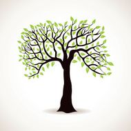 Green tree N13