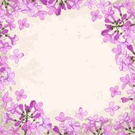 lilac frame N2