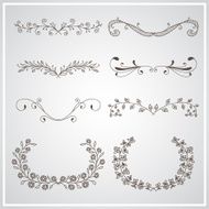 Set of elegant calligraphic foliate borders N2