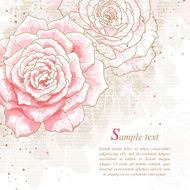 Romantic background with pink roses N2