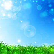 Spring Grass