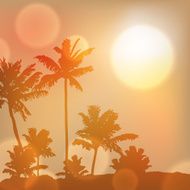 Sea sunset with island and palm trees N14