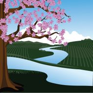 Cherry tree in spring landscape