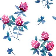 clover N14