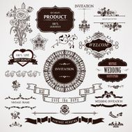 Vector wedding design elements and calligraphic page decorations