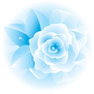 Rose blue