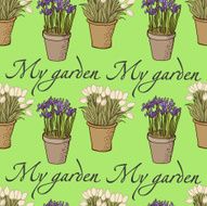 Spring pattern with flowers in pots
