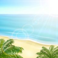 Beach and palms