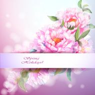 Peonies flowers background N10