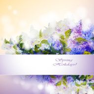 Lilac flowers background N9