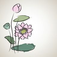 water lily pattern of illustrator sketching