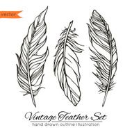 Vintage feather set isolated on white background Hand drawn vec
