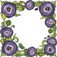 Violet ranunculus-rose flowers vector frame