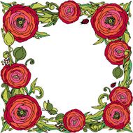 Red ranunculus-rose flowers vector frame