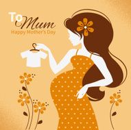 Vintage background with silhouette of beautiful pregnant woman N3