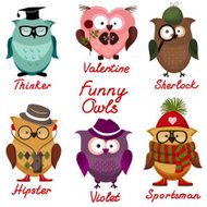 funny owls set for your design N4