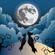 cute kitty cat under the full moon