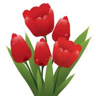 vector bunch of red tulips