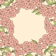 Phlox flower card
