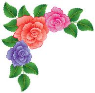 vector colorful roses with leaves