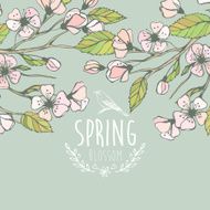 Blossoming Spring Branch Vector illustration N6