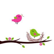 Cute spring nesting birds isolated on white
