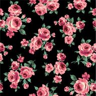 repetition of the rose N104