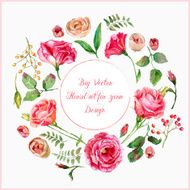 Vector set of different red pink flowers for design