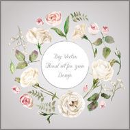 Vector set of different white beige flowers for design