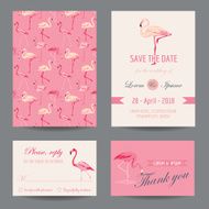 Invitation Congratulation Card Set - Flamingo Theme