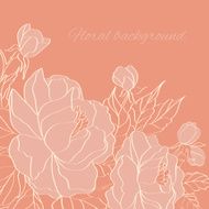 Floral background with hand drawn peonies N4