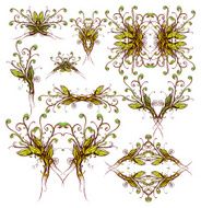 flirty plants