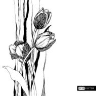 Hand drawn natural ornament Vintage pattern