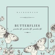 Background with flowers and butterflies N8