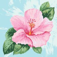 hibiscus N10