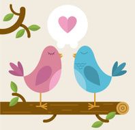 Love birds on a branch N2