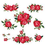 Roses on white background N2